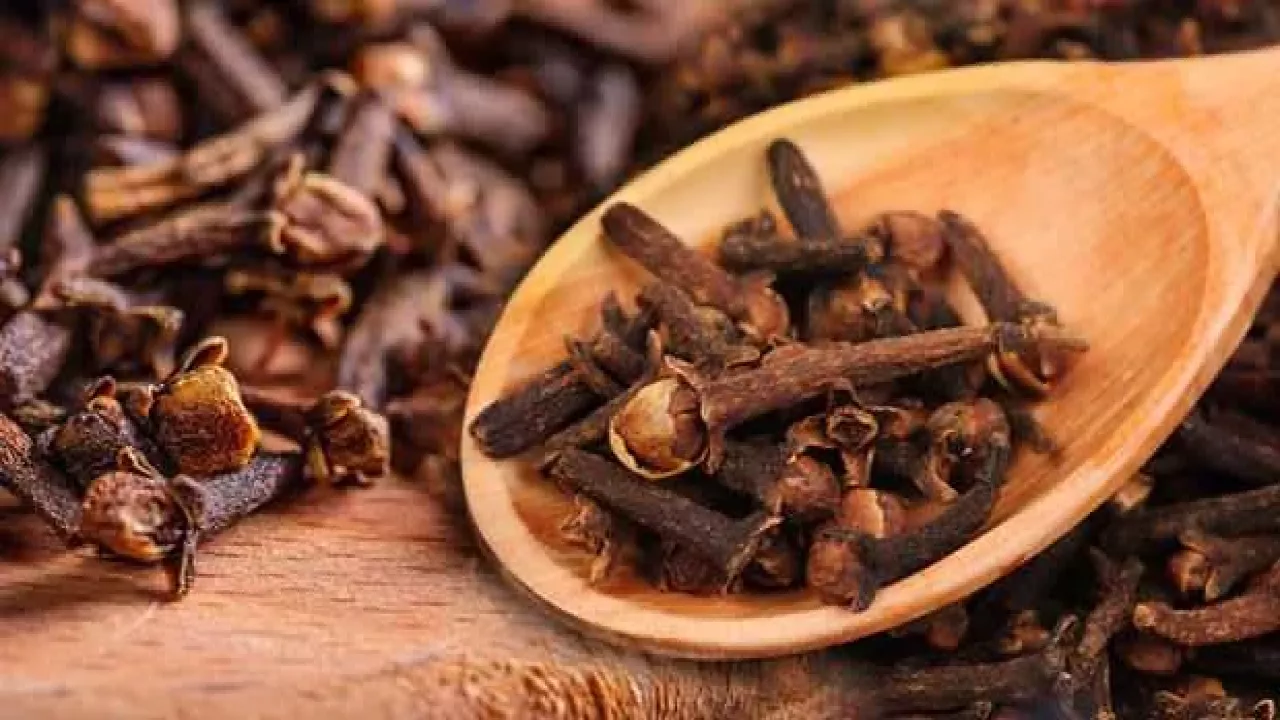 karanfilin-faydalari-nelerdir-nasil-kullanilir-karanfil-cignemenin-agiz-sagligina-faydalari-1629354821-9039.webp