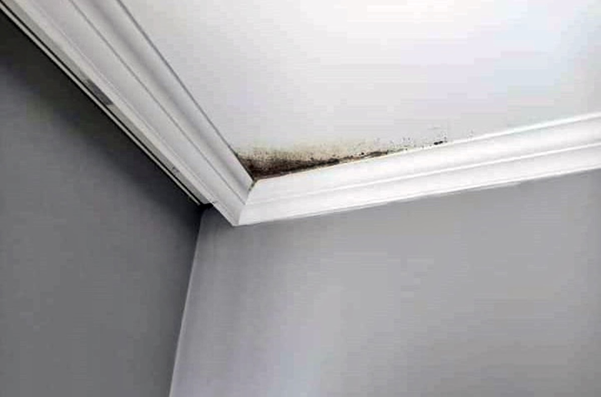 istanbul-zam-haberleri-2