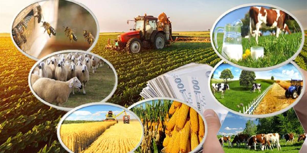 tarimsal-destekler-nelerdir