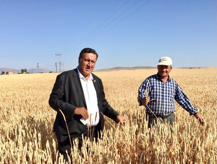 whatsapp-image-2023-01-15-at-16-17-55