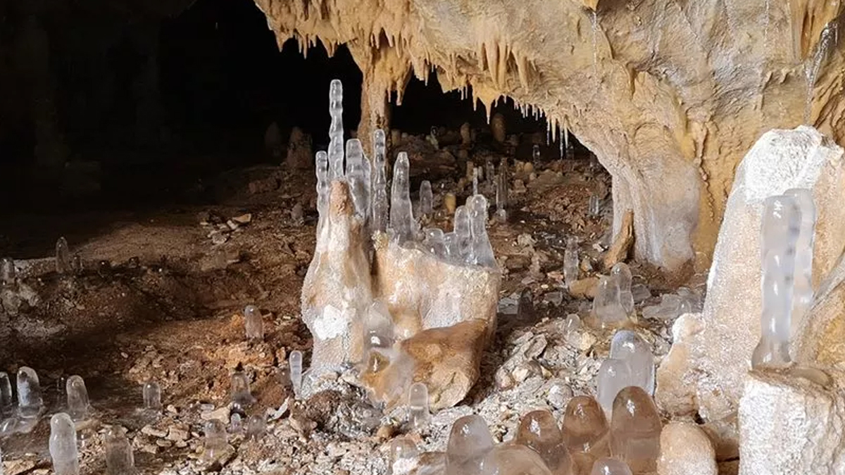 whatsapp-image-2022-12-27-at-11-34-58-001