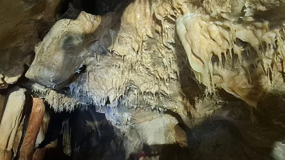 whatsapp-image-2022-12-27-at-11-34-58-002