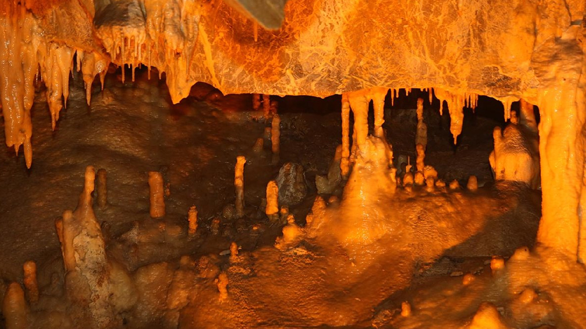 whatsapp-image-2022-12-27-at-11-34-58