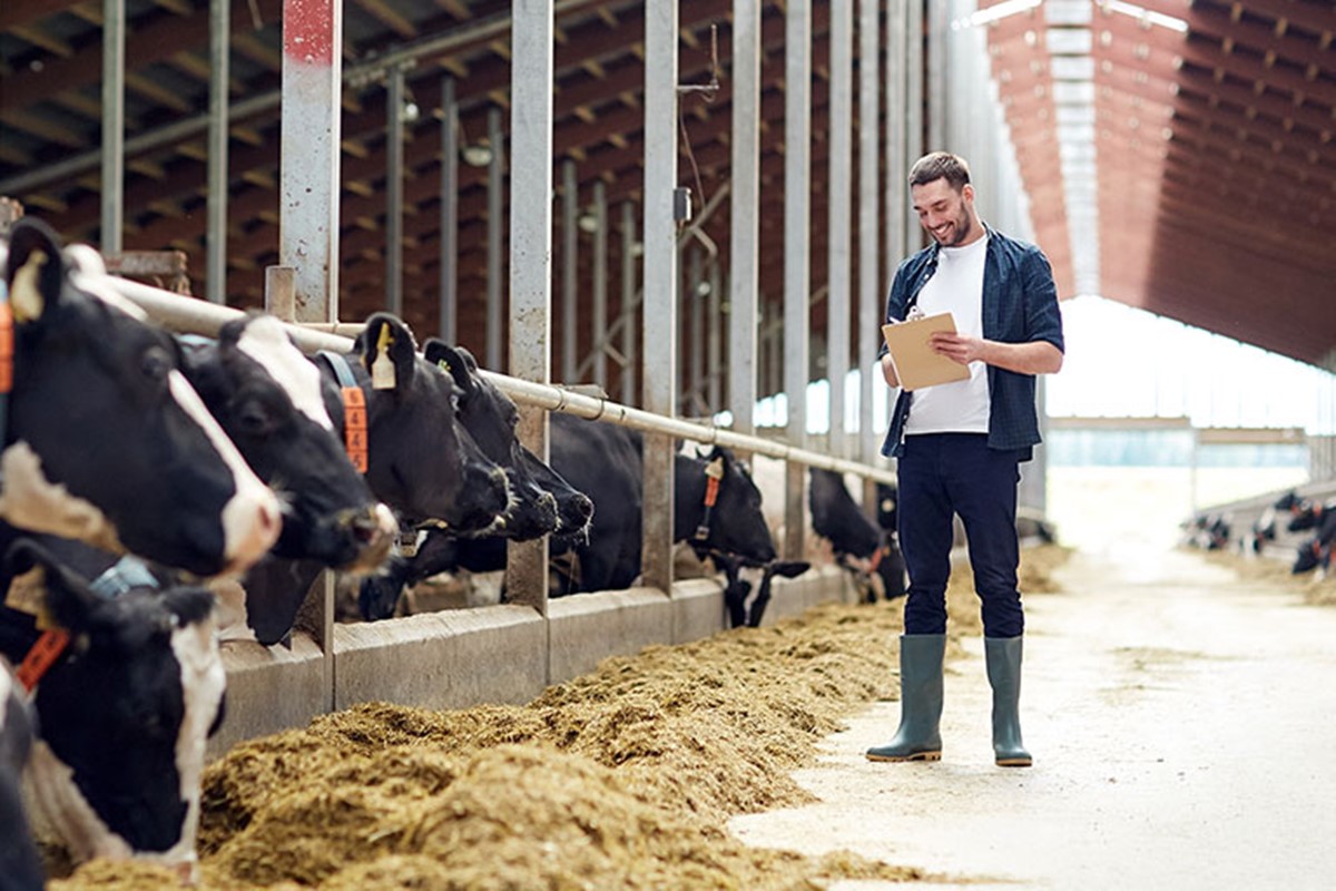 ziraat-bankasi-tarim-ve-hayvancilik-kredisi