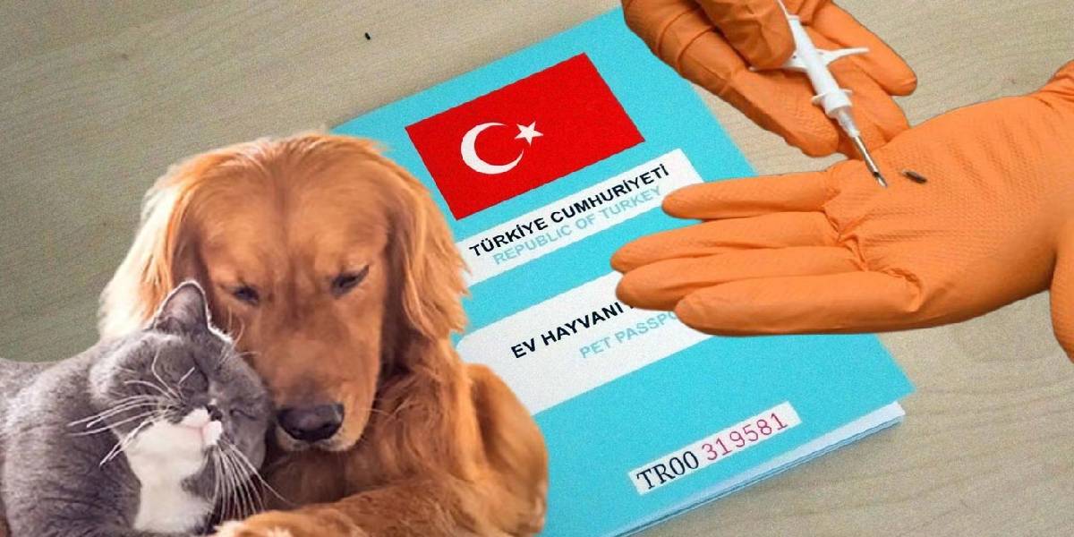 evcil-hayvan-kayit