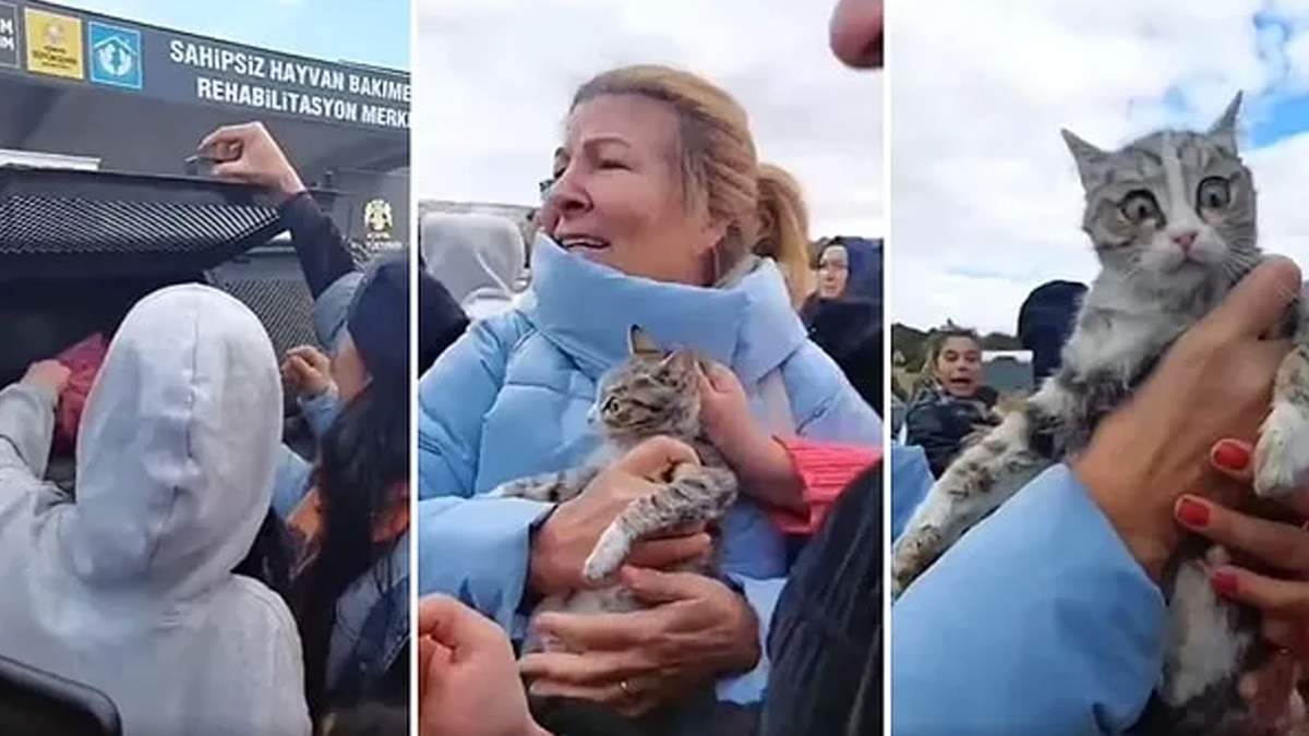 whatsapp-image-2022-12-27-at-11-34-58-004