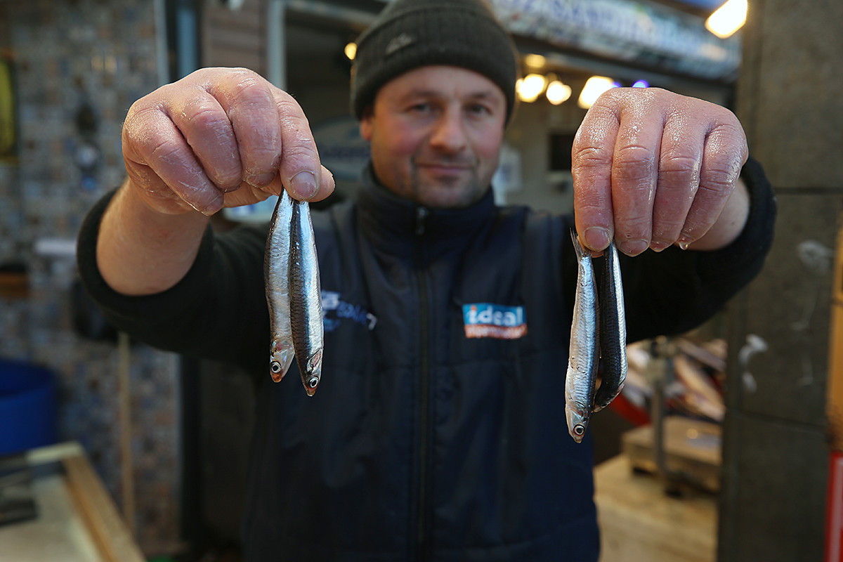 aa-20230205-30178082-30178077-trabzonda-hamsinin-kilogrami-5075-liradan-satiliyor-copy