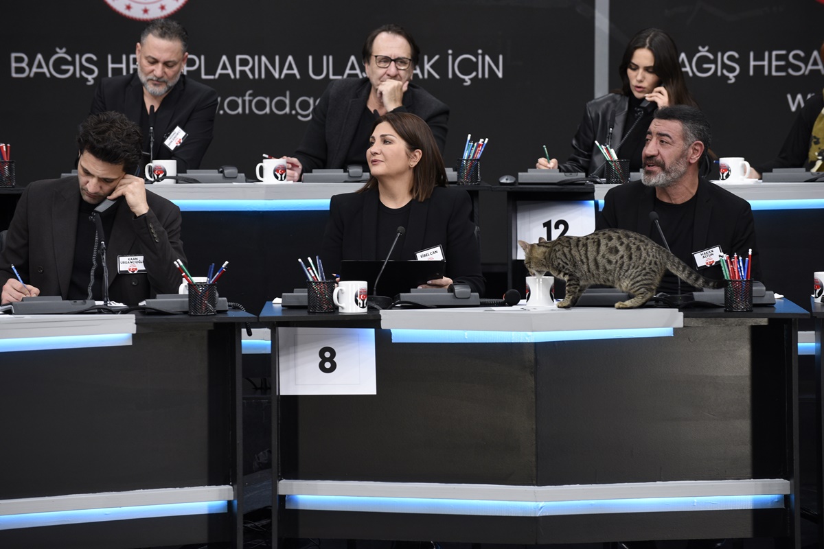 turkiye-tek-yurek-13