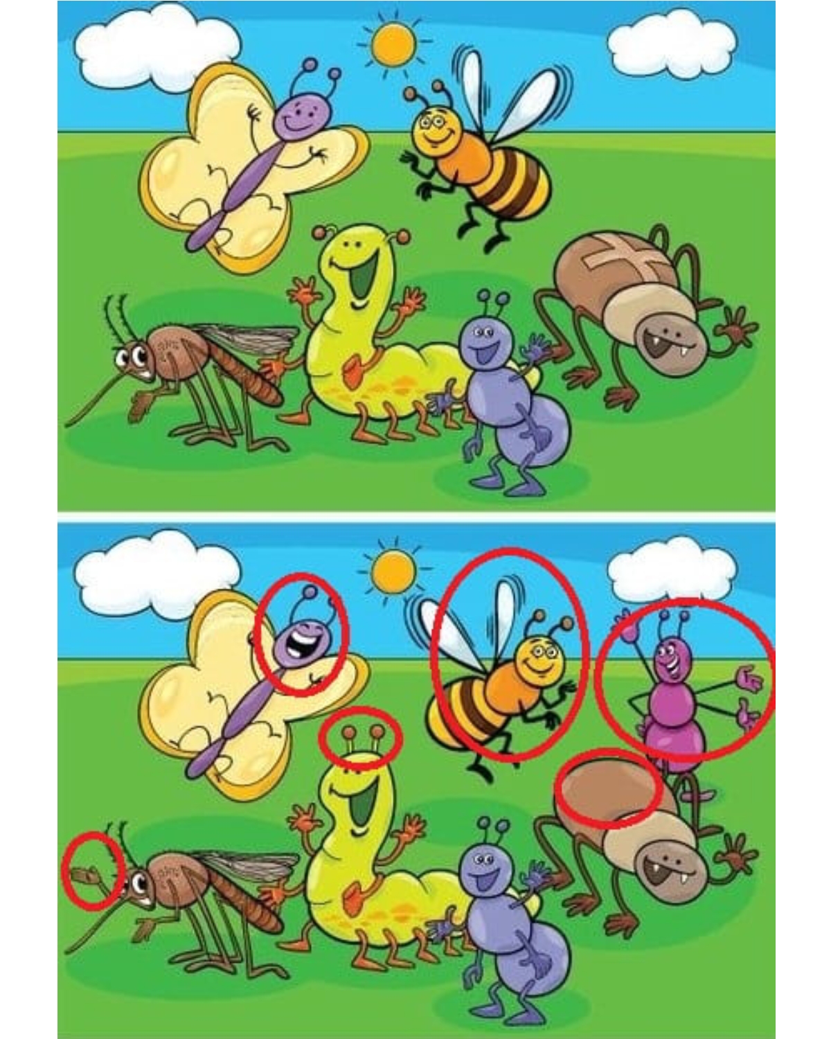 Игра Найди отличия насекомые