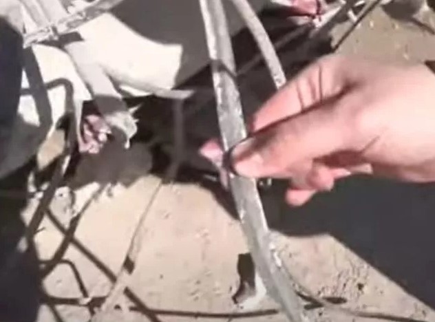 ekran-goruntusu-2023-02-17-115218