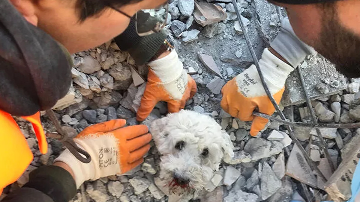 whatsapp-image-2022-12-27-at-11-34-58