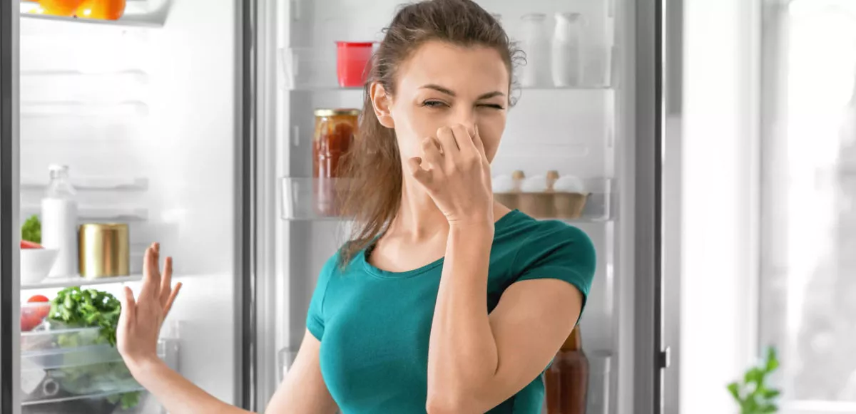 buzdolabi-kokusunu-ortadan-kaldiracak-yontemler