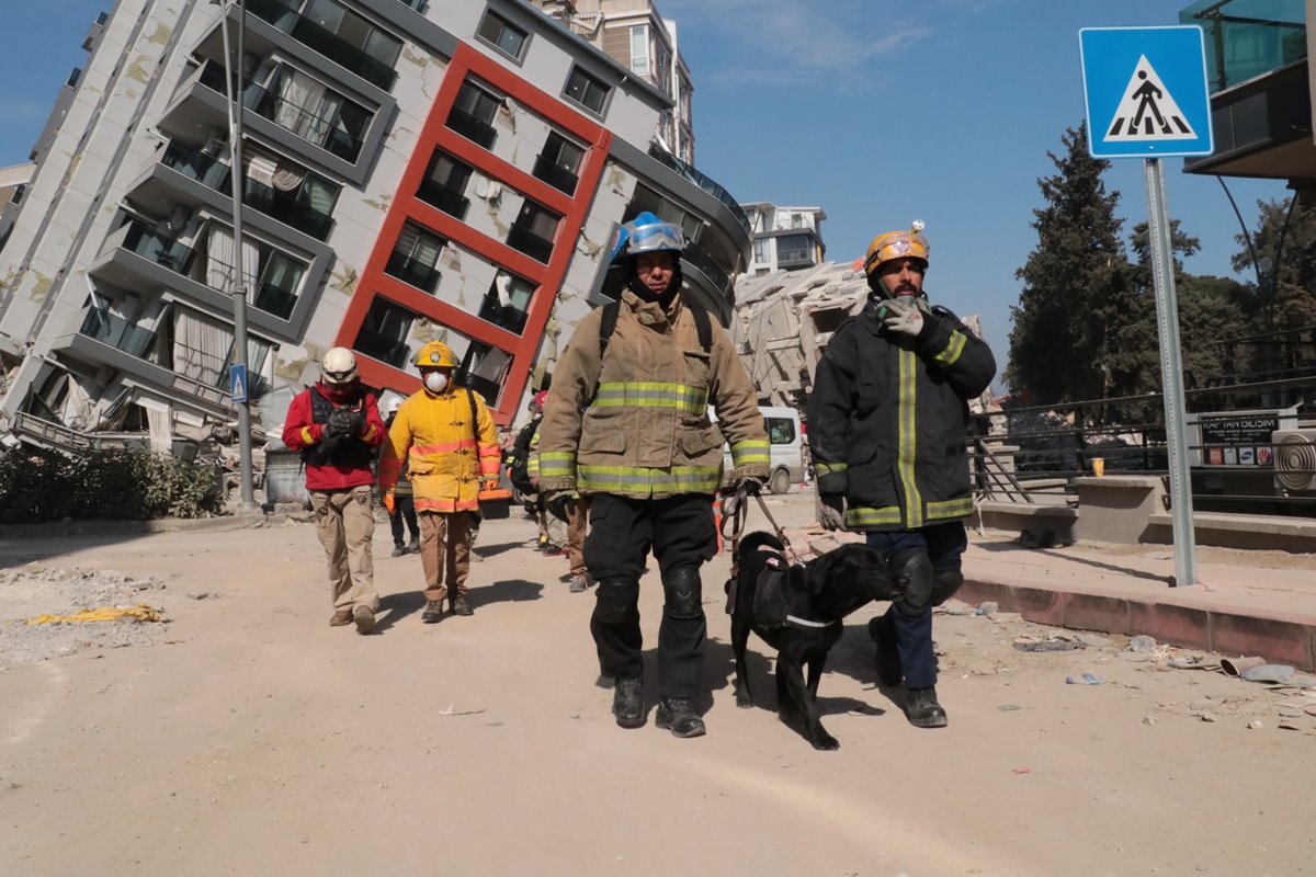 hayvanlar-depremi-onceden-hisseder-mi-4