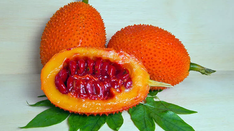 5d5c042b0f25441e78b09c36