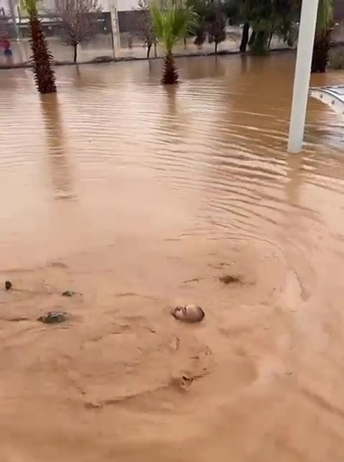 sanliurfa-sel-felaketi-yilan-4