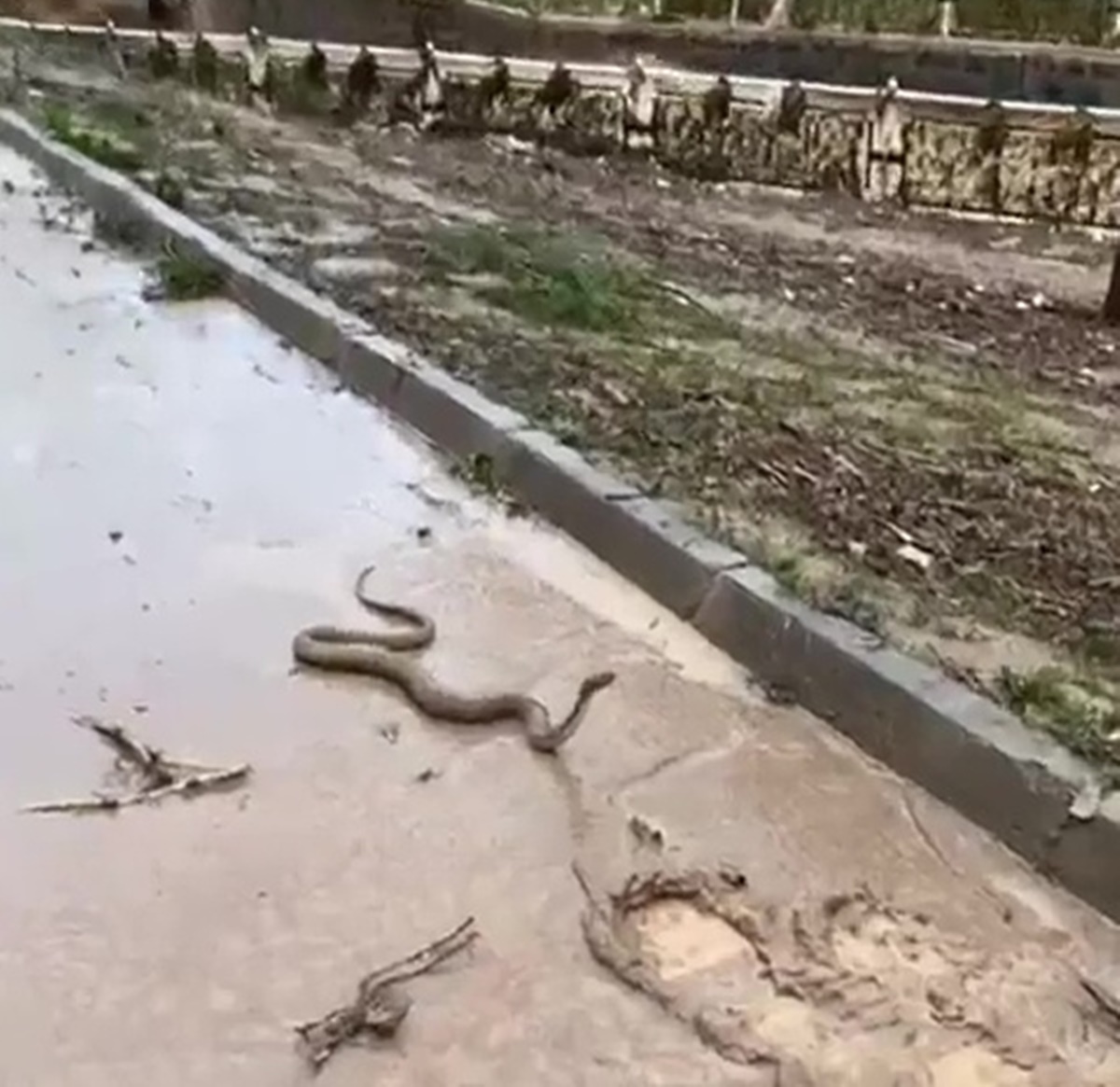 sanliurfa-sel-felaketi-yilan-7