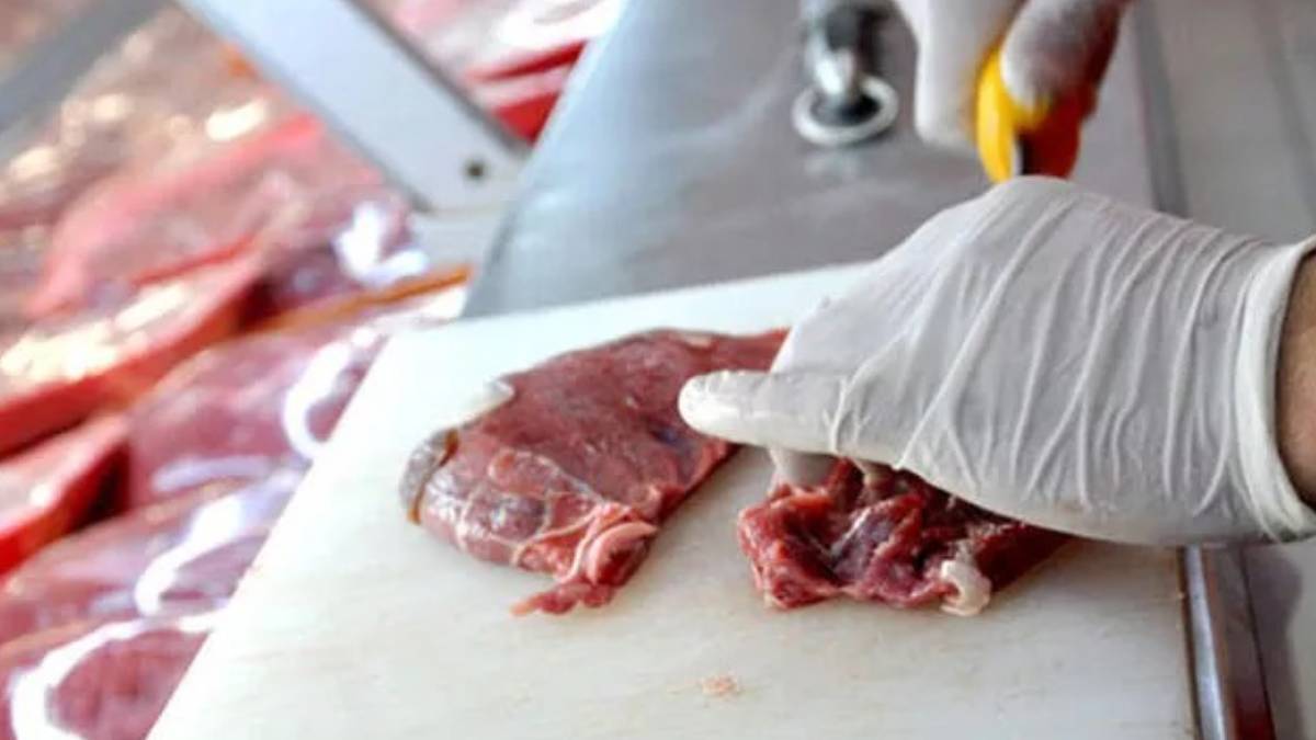 gfgfgf-2023-03-18t173826-105