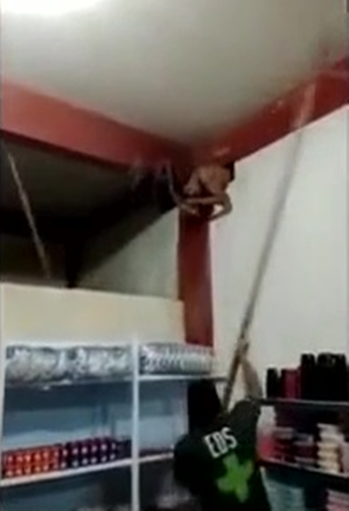 marketi-soymaya-calisan-hirsiz-delikte-sikisti-1