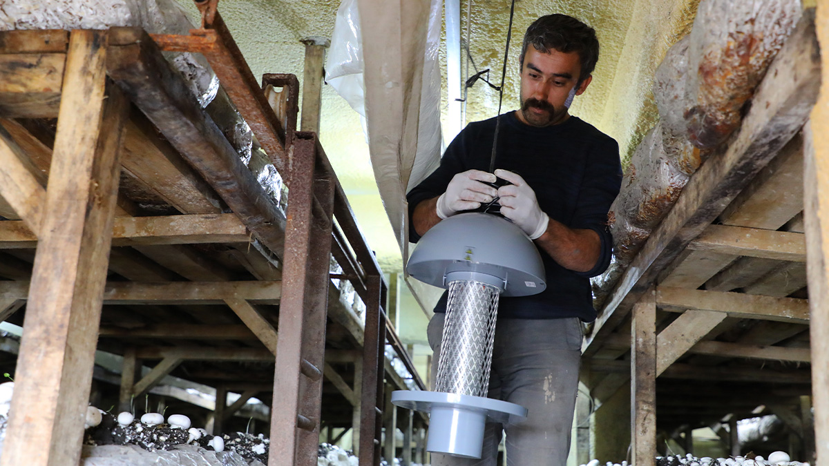 korkuteli-yelten-mantar-sinegi-isikli-1