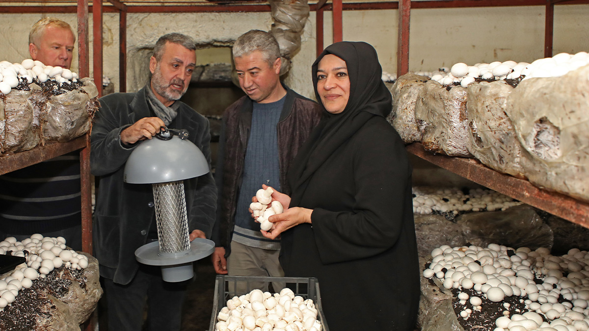 korkuteli-yelten-mantar-sinegi-isikli-4