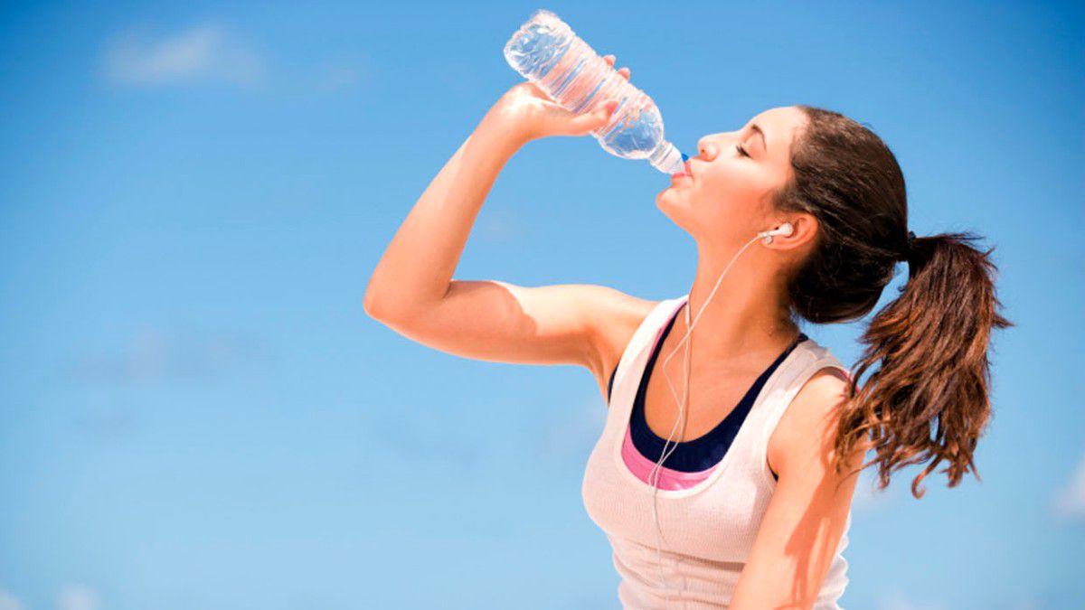 evrimagaci-org-public-content-media-16ac54c4109c6d21d529667a63a78389