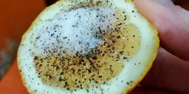 fq71h-1517743809-6333