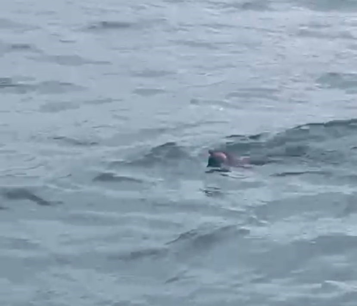 su-samuru-istanbul-2