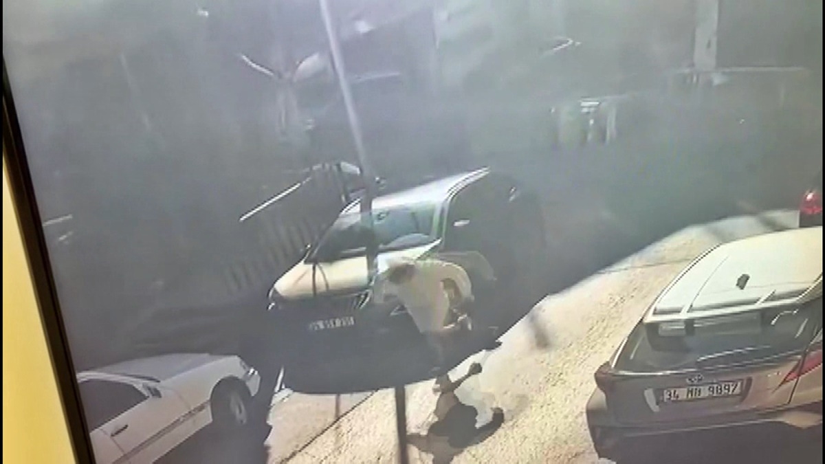 kagithanede-brezilyali-mankene-silahli-saldiri-1