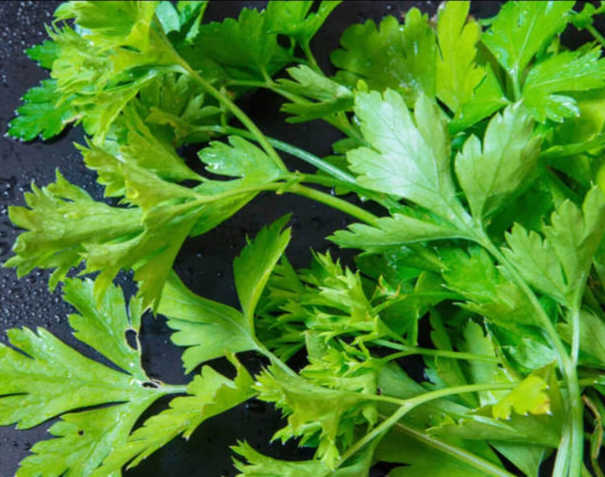 MAYDANOZUN FAYDALARI