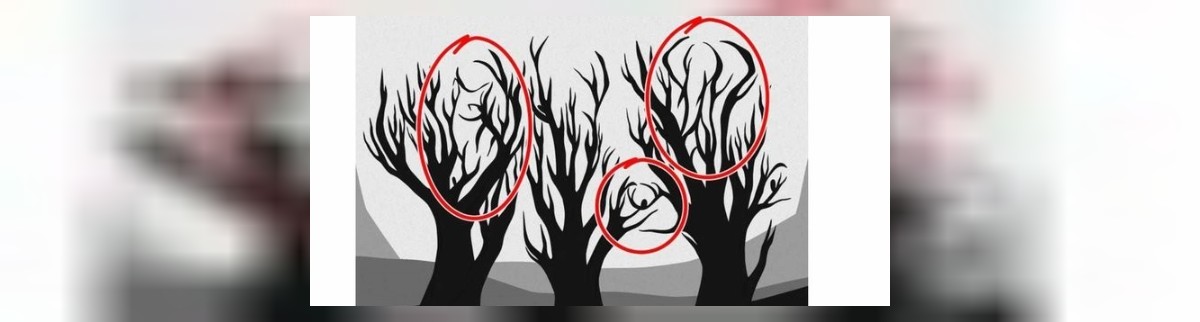 Dikkat Testi Ağaç Sonucu