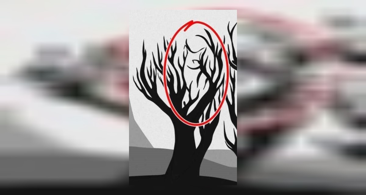 Optik İllüzyon Sonuçları