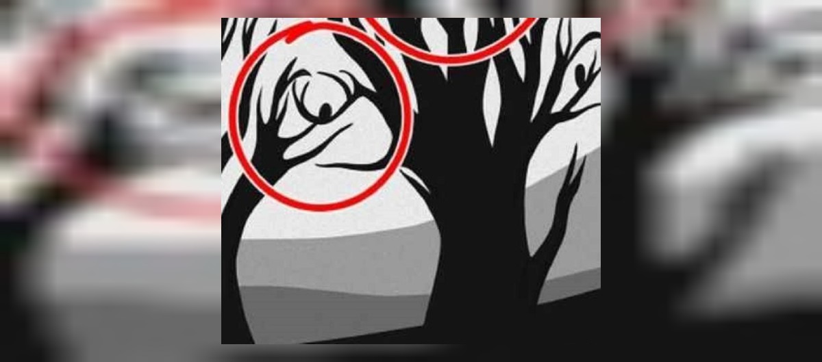 Optik İllüzyon Test Sonuçları