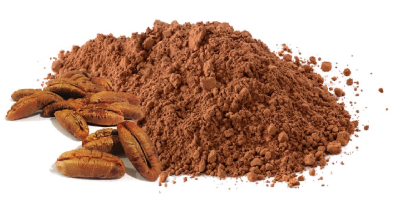 Hurma Çekirdeğinin Sayısız Faydası