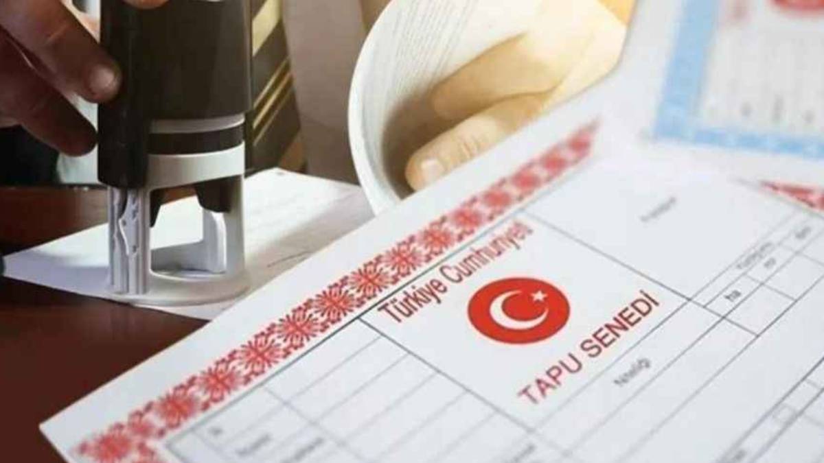 gfgfgfgf-2023-03-28t102102-284