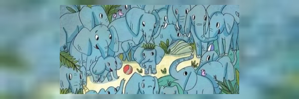 Yavru Gergedan Testi