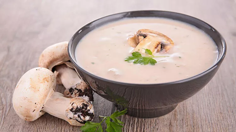 5e1d775bc9de3d081888d5e3