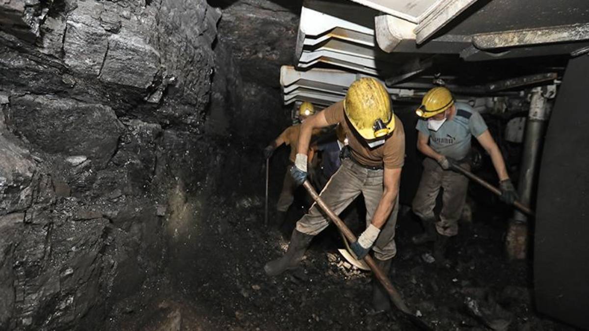 gfgfgf-2023-03-30t115138-533