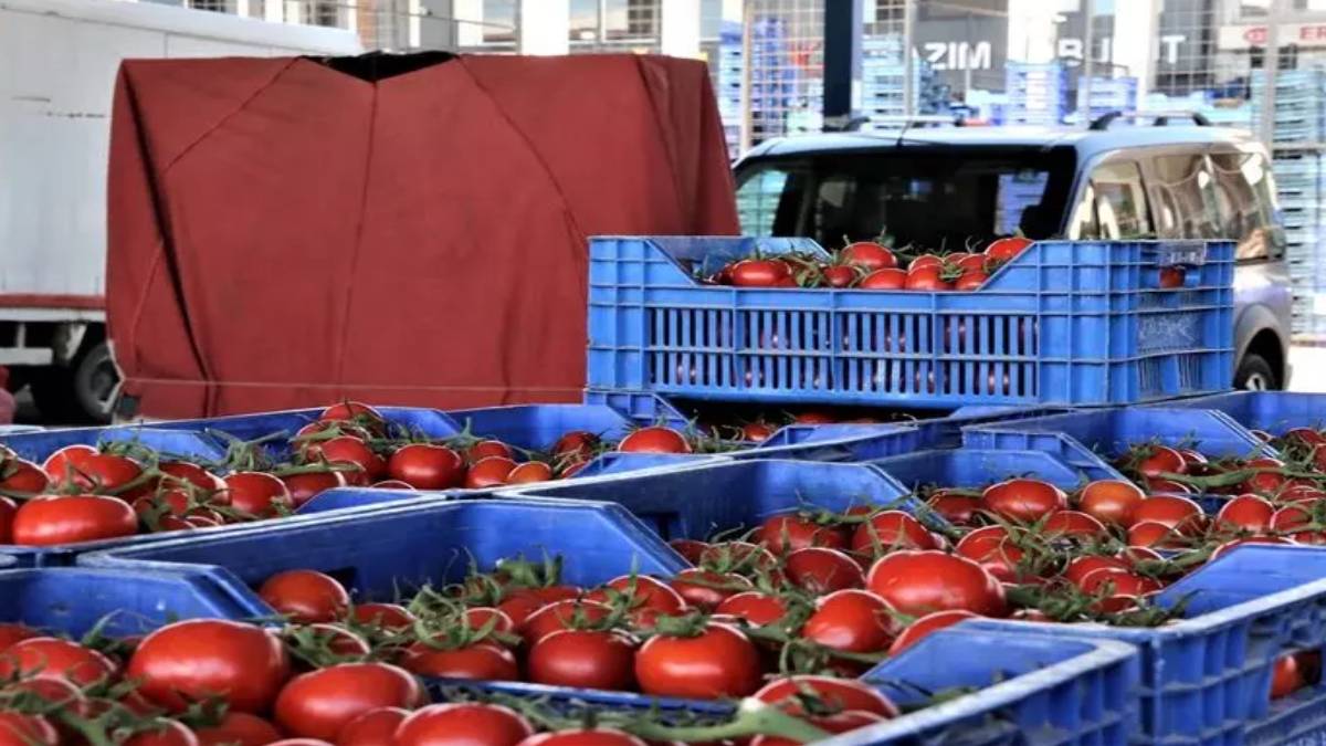 gfgfgfgf-2023-03-30t124704-896