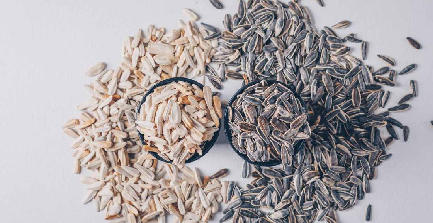 ÇEKİRDEK KABUKLARININ FAYDALARI