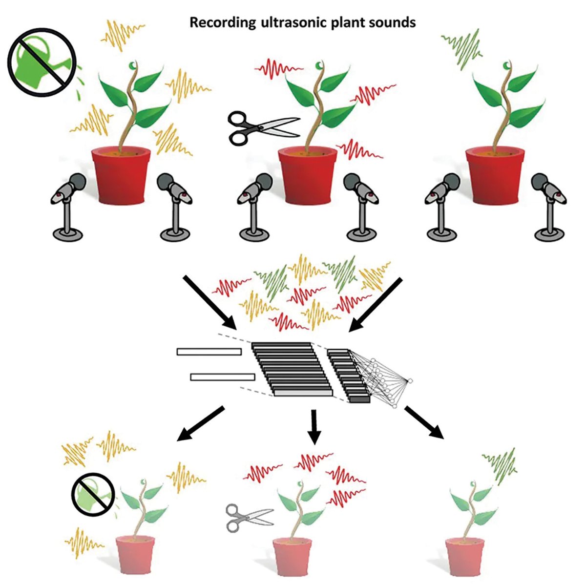 Stresli bitkiler ���l�k at�yor..