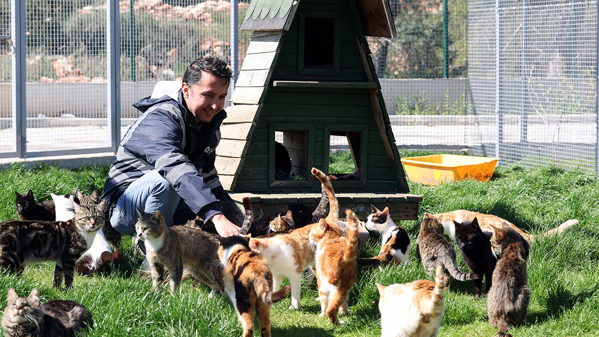 can-dostlar-yeni-evlerinde-daha-mutlu-16