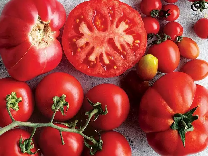 en-populer-domates-cesitleri-ve-kullanimlari-9ad282a9-1bd2-42b6-83aa-81570e956b64.webp