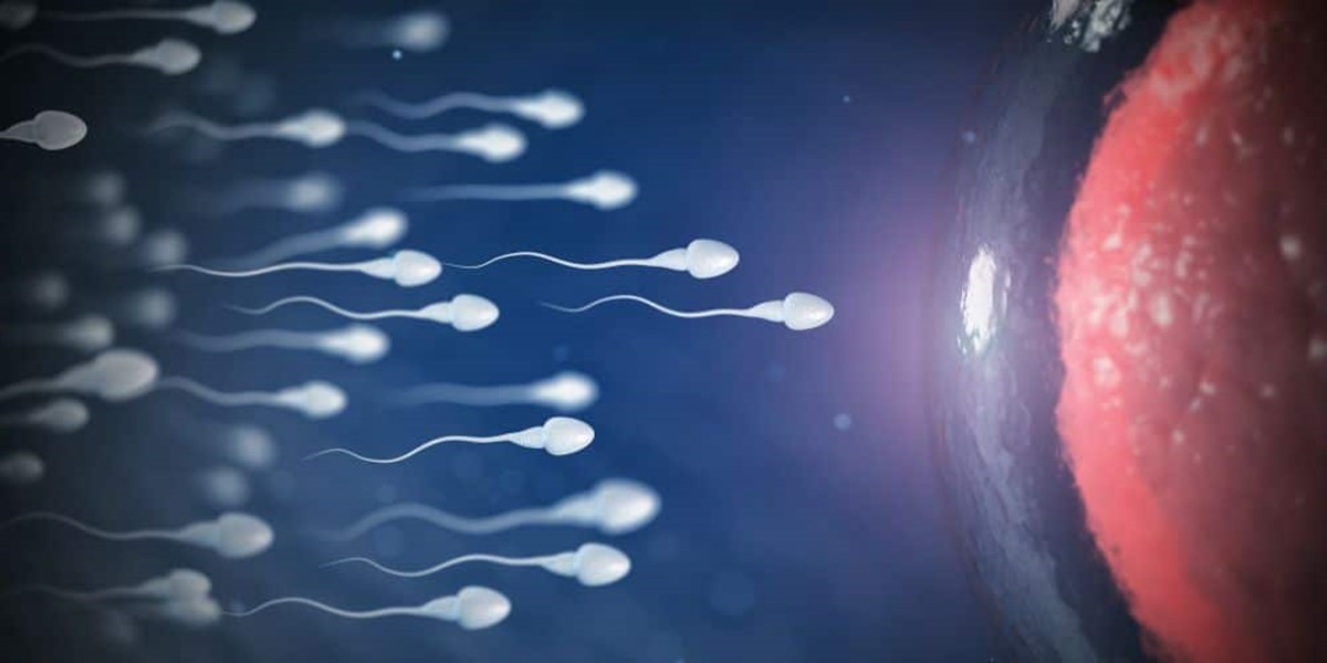erkek-dogurganligi-sperm-kalitesi-dustu-3.jpg