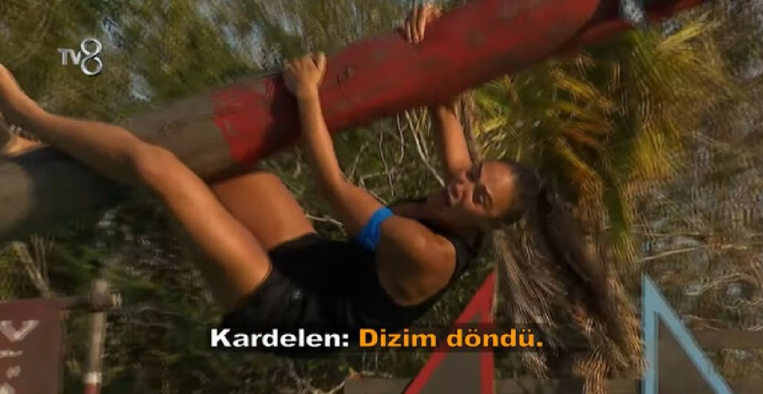 survivor kardelen