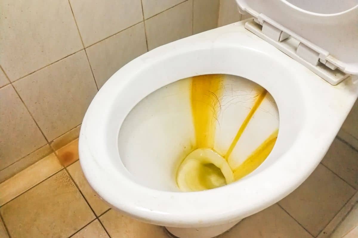 how-to-remove-ring-around-toilet