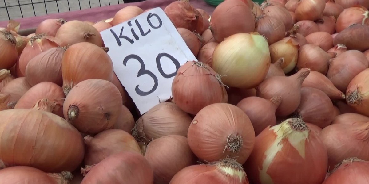 soğan fiyatları