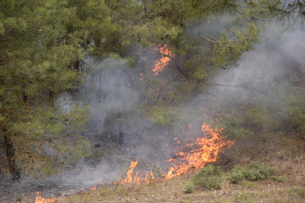 ekran-goruntusu-2023-04-15-171030