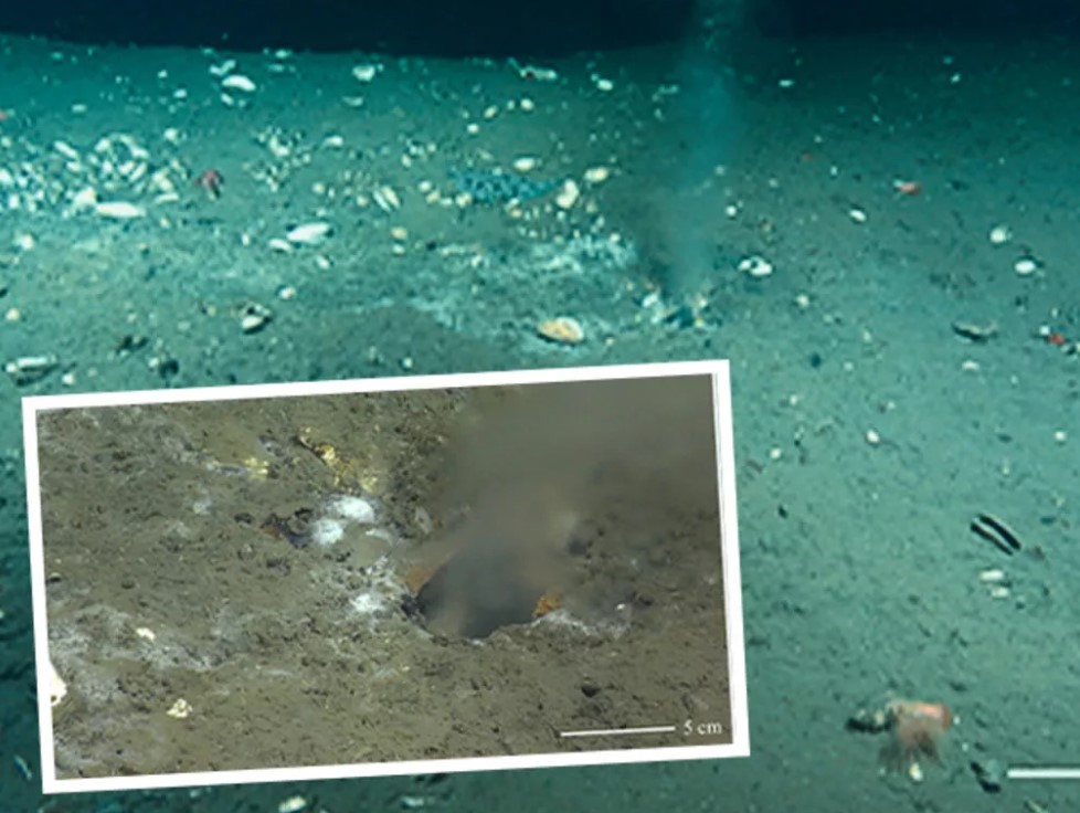 ekran-goruntusu-2023-04-17-155026