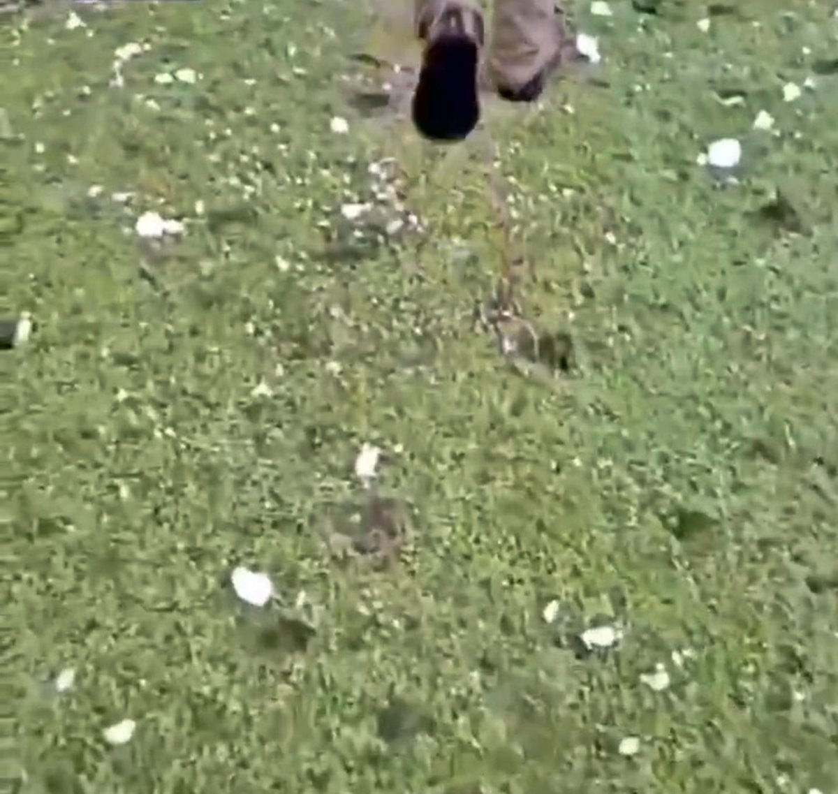 diyarbakir-siddetli-dolu-yagisi-3