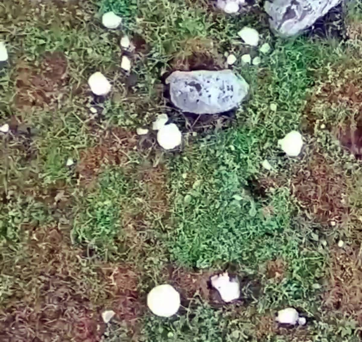 diyarbakir-siddetli-dolu-yagisi-4